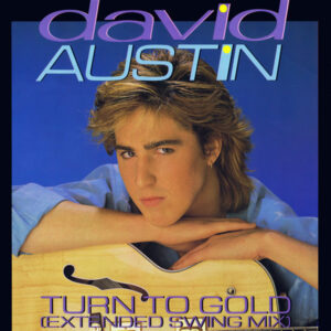 David Austin - Turn To Gold 12 Inch Vinyl Single (12 Inch Record)