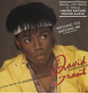 David Grant - Watching You Watching Me 12 Inch Vinyl (12 Inch Single)