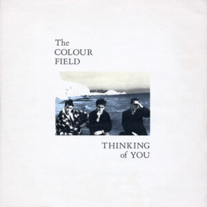 The Colour Field - Thinking Of You 12 Inch Vinyl Single (12 Inch Record)