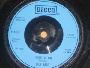 Eden Kane - Well I Ask You / Forget Me Not 7 Inch Vinyl Single (7 Inch Record, Mono)