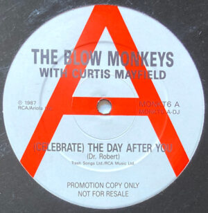 The Blow Monkeys With Curtis Mayfield - (Celebrate) The Day After You 12 Inch Vinyl Single (12 Inch Record, Promo)