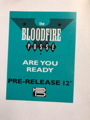 Bloodfire Possé - Are You Ready 12 Inch Vinyl Single (12 Inch Record, White Label)