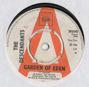 The Descendants - Garden Of Eden 7 Inch Vinyl Single (7 Inch Record, Promo)