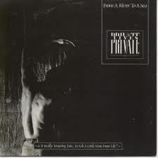 Private Lives - From A River To A Sea 7 Inch Vinyl Single (7 Inch Record)