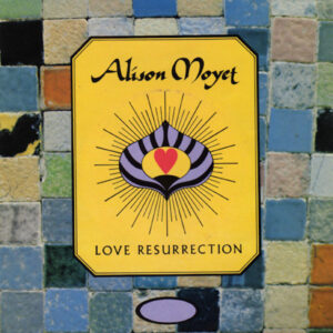 Alison Moyet - Love Resurrection 7 Inch Vinyl Single (7 Inch Record)
