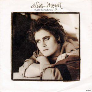 Alison Moyet - That Ole Devil Called Love 7 Inch Vinyl Single (7 Inch Record)