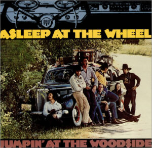 Asleep At The Wheel - Jumpin' At The Woodside Vinyl LP (LP Record)