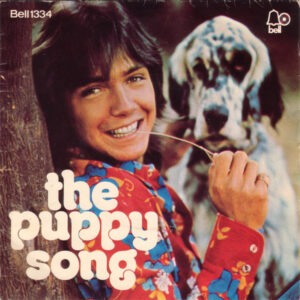 David Cassidy - Daydreamer / The Puppy Song 7 Inch Vinyl Single (7 Inch Record)